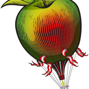 Gravity Theory Cider